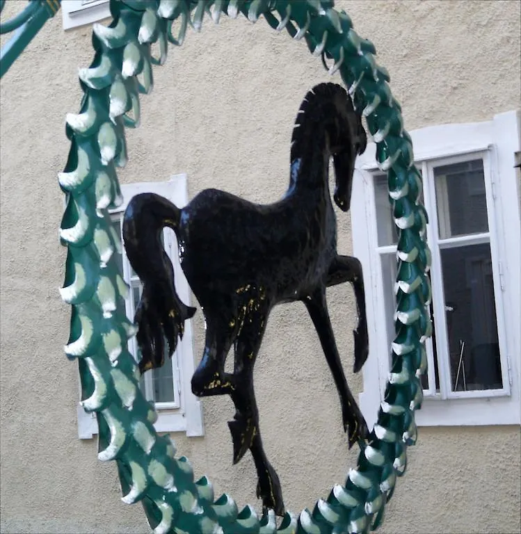 Hotel Schwarzes Roessl Salisburgo 0*,